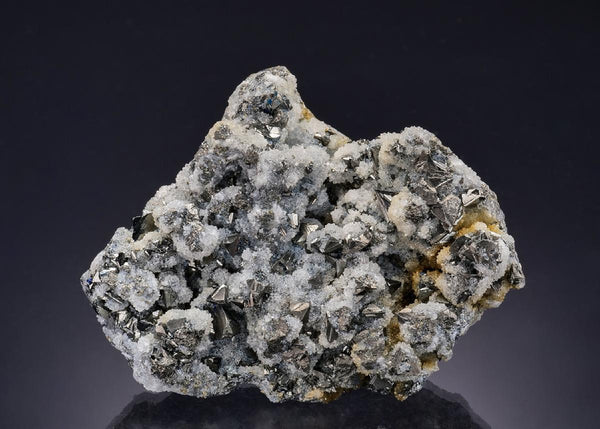 CC53972 specimen image