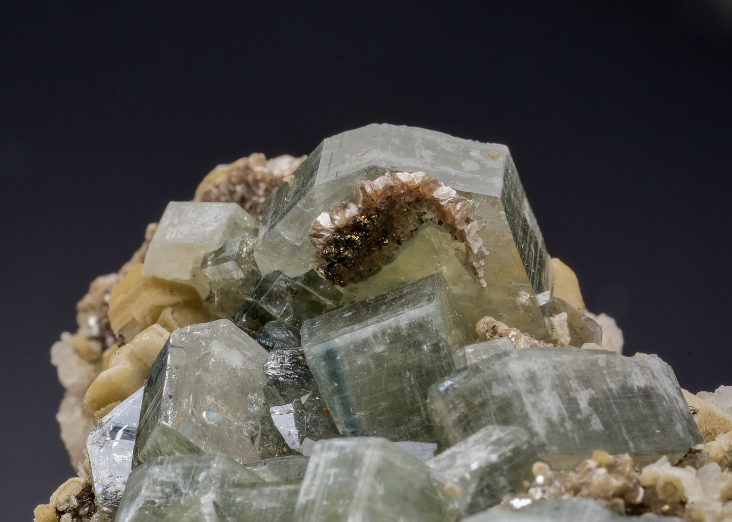 FLUORAPATITE with SIDERITE, CALCITE and MUSCOVITE