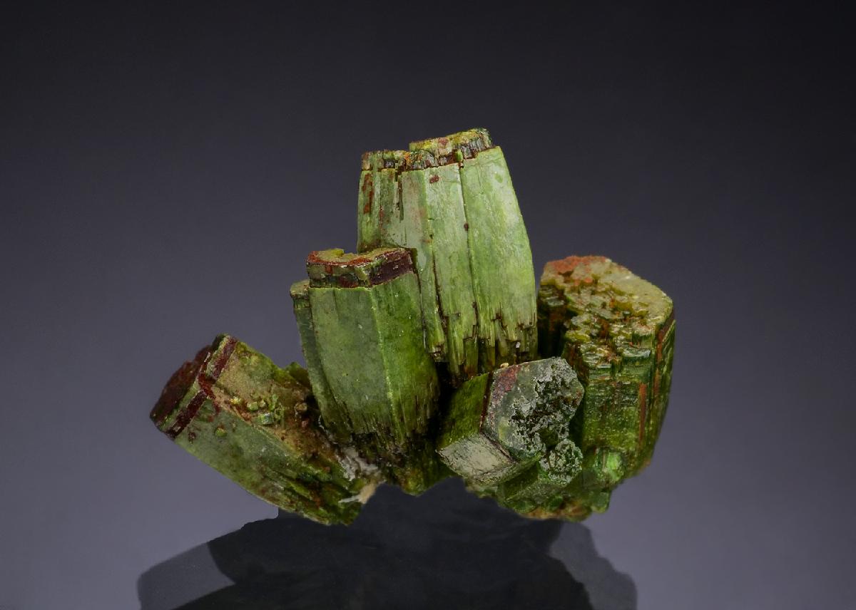 CC54044 specimen image