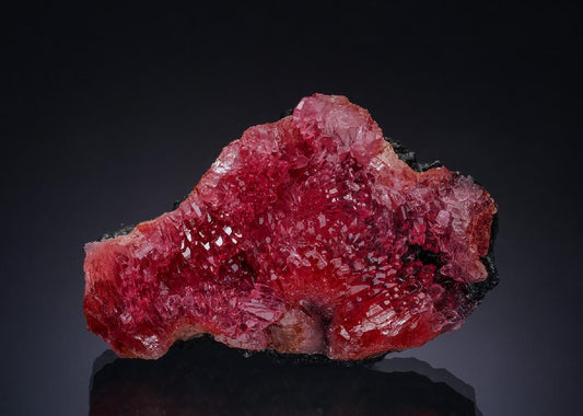 CC54052 specimen image