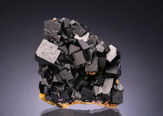 CC54062 specimen image