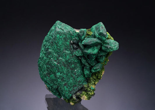 CC54090 specimen image