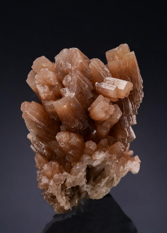 CC54094 specimen image
