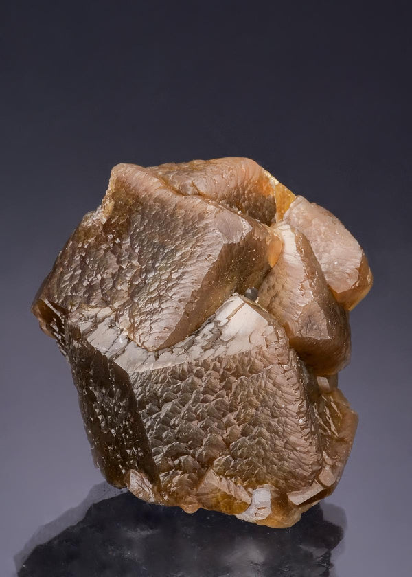 CC54110 specimen image