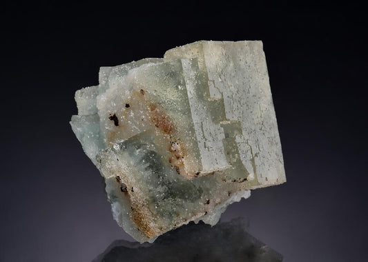 CC54114 specimen image