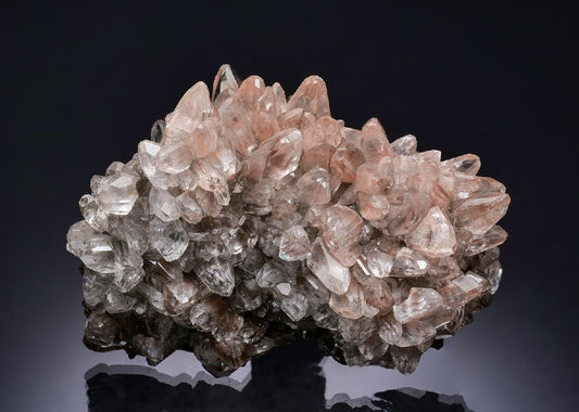 CC5412 specimen image