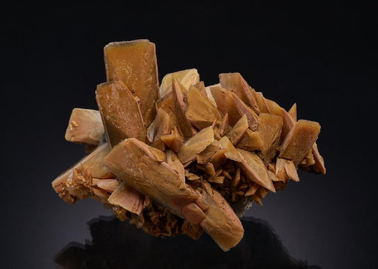 CC54142 specimen image