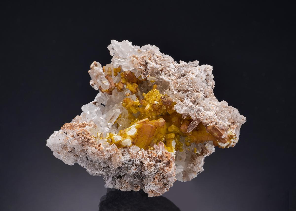 CC54164 specimen image