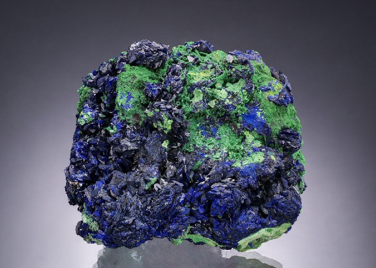 CC54166 specimen image
