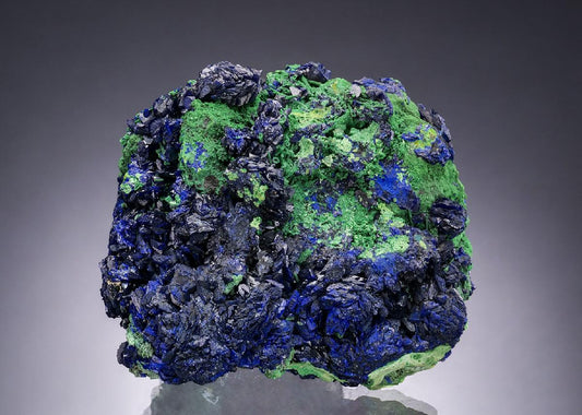 CC54166 specimen image