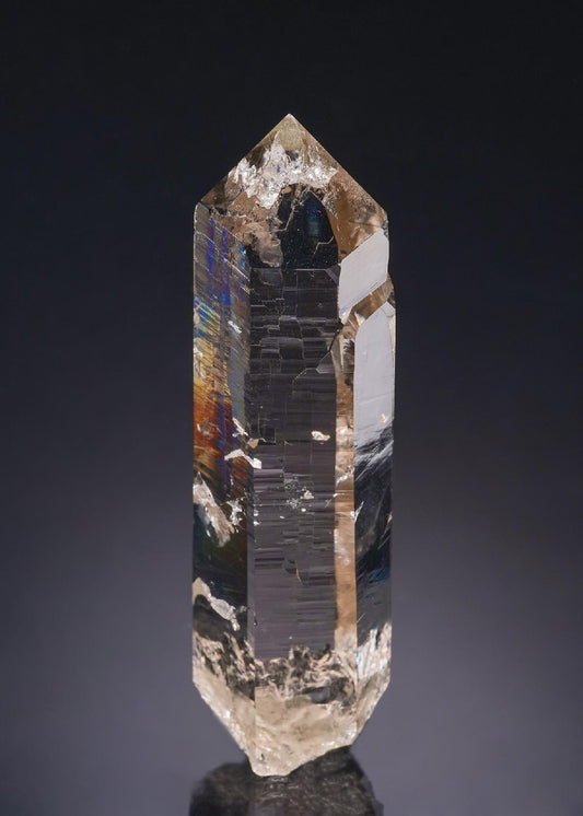 CC54198 specimen image