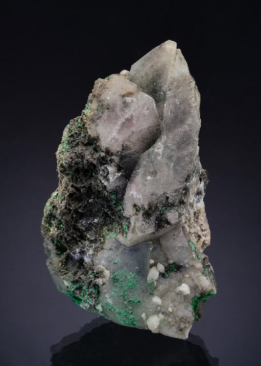 CC54214 specimen image