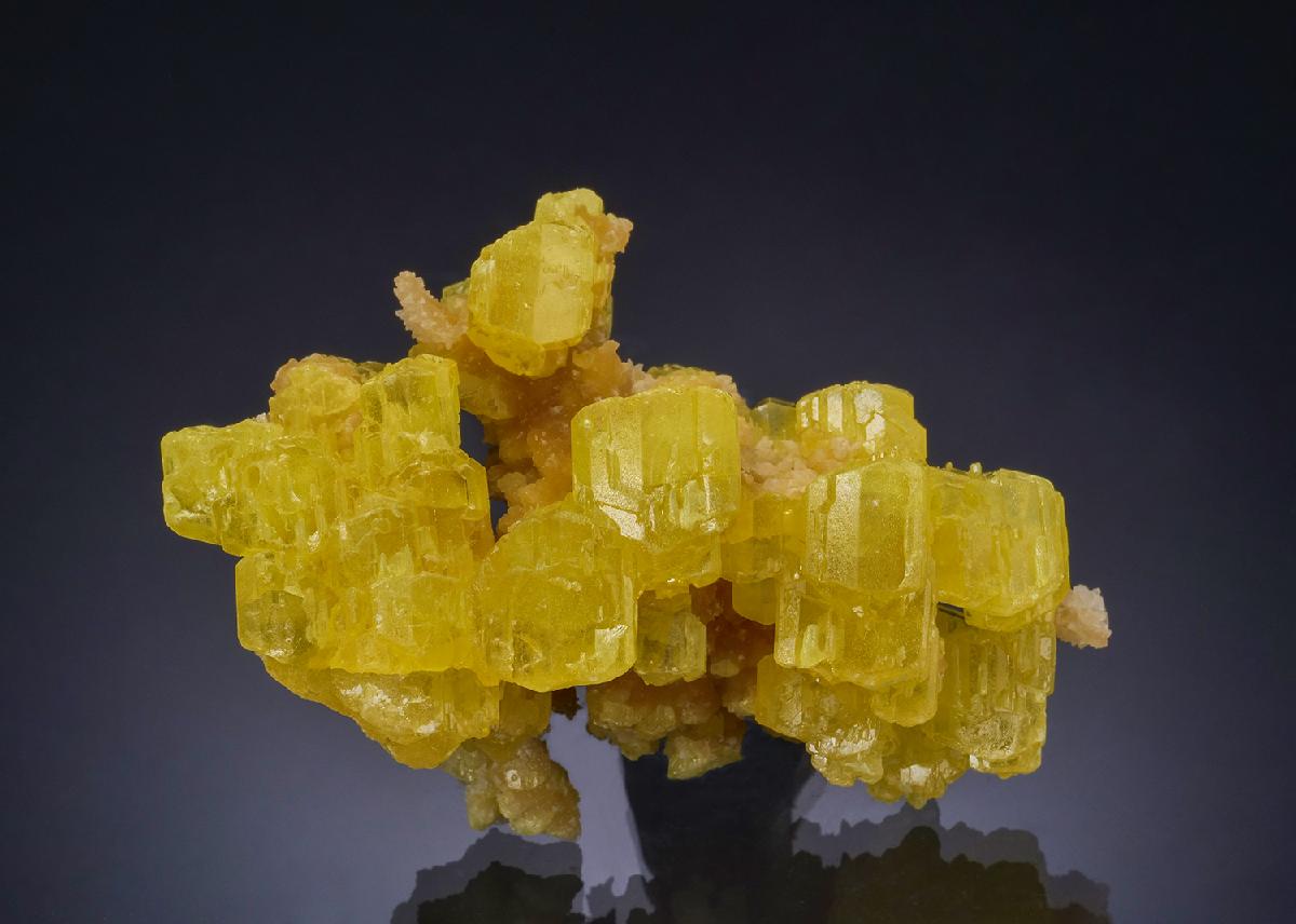 CC54222 specimen image