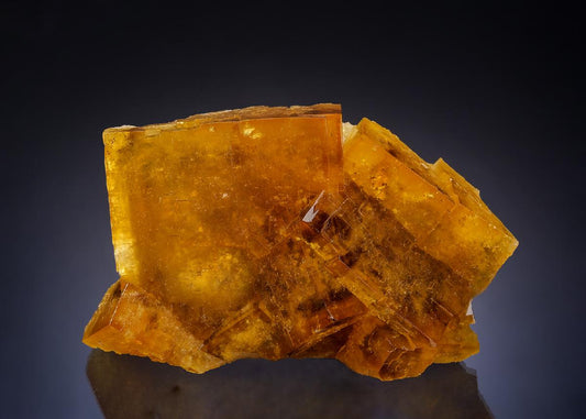 CC54266 specimen image