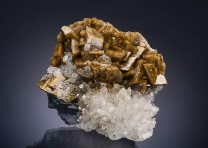 CC54276 specimen image