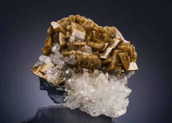 CC54276 specimen image