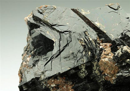 CC5429 specimen image