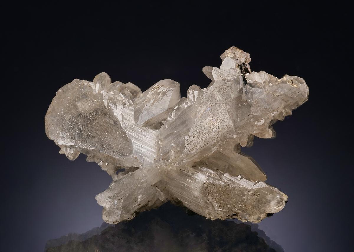 CC54346 specimen image