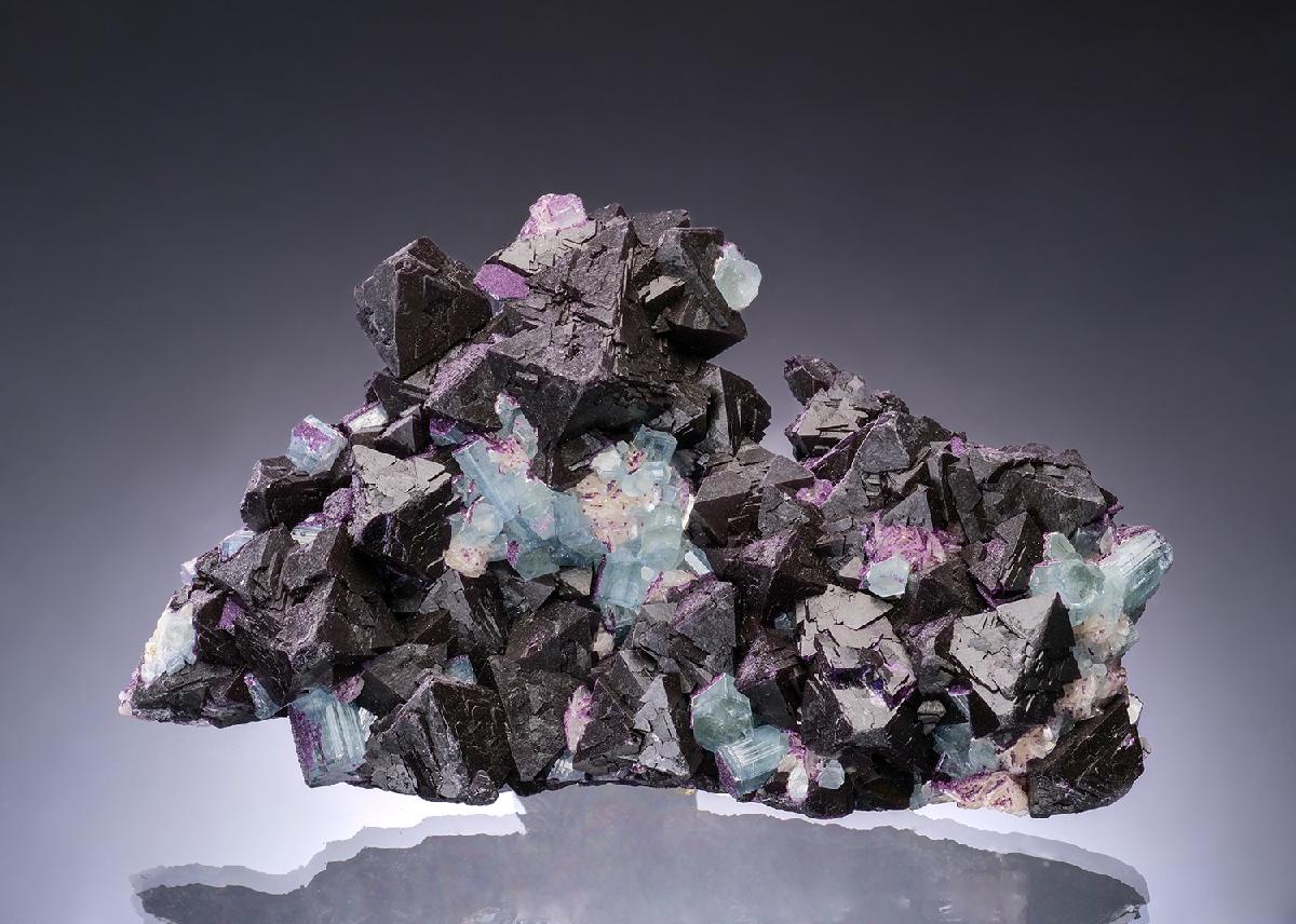 CC54358 specimen image
