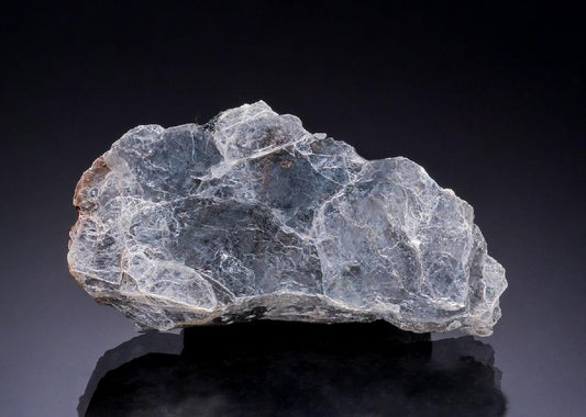 CC54378 specimen image