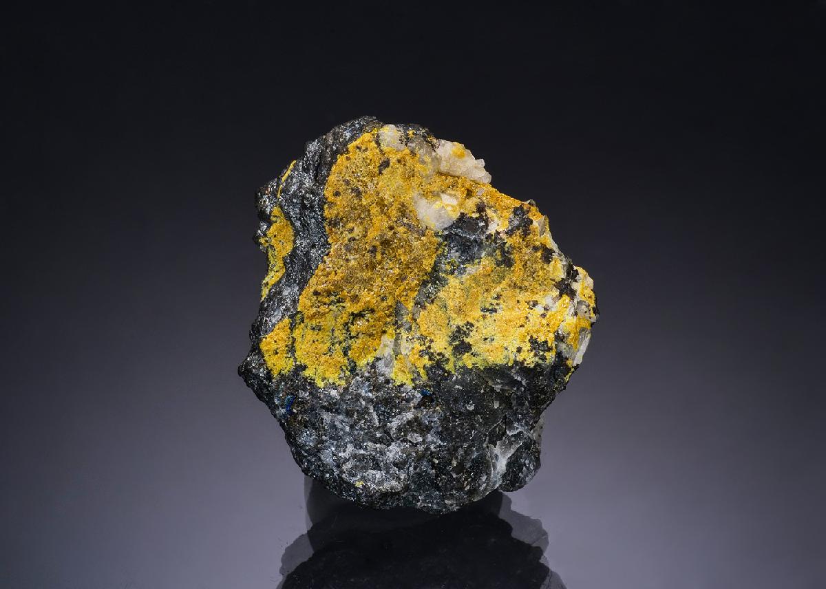 CC54380 specimen image