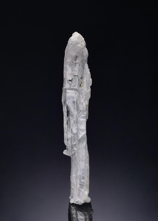 CC54386 specimen image