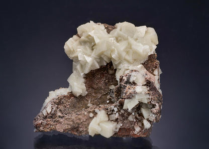 CC54420 specimen image