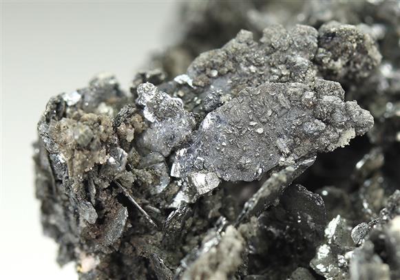CC5453 specimen image