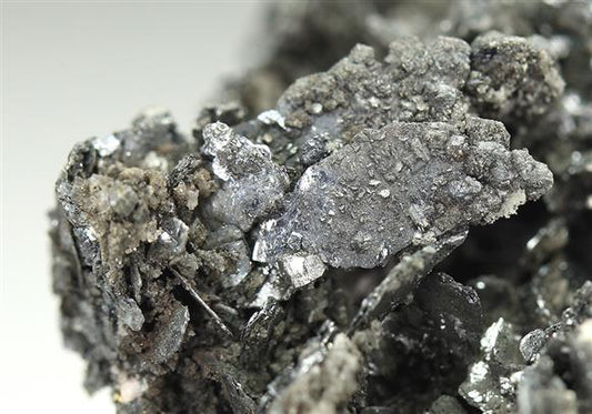 CC5453 specimen image