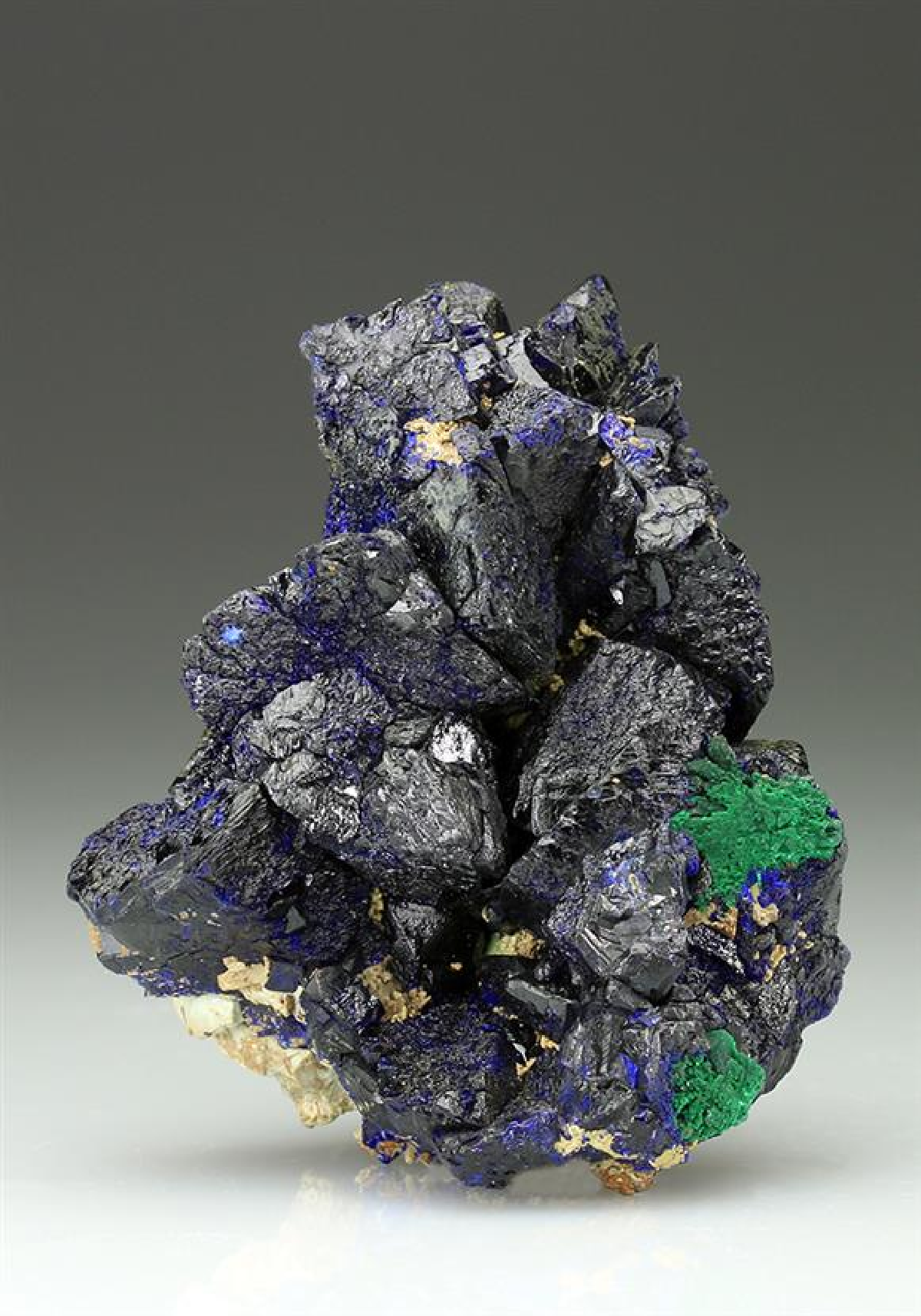 CC5458 specimen image
