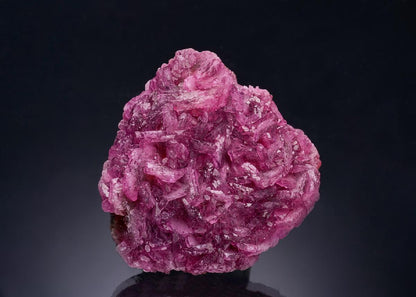CC54604 specimen image