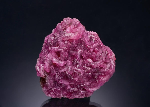 CC54604 specimen image