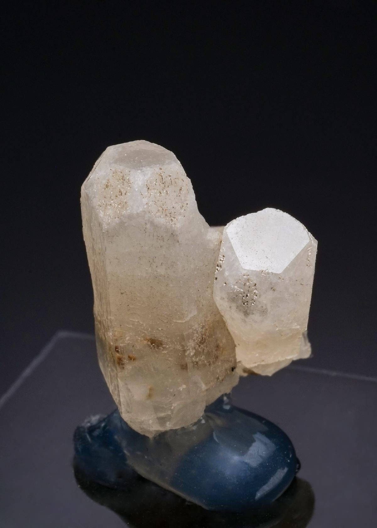 CC54608 specimen image