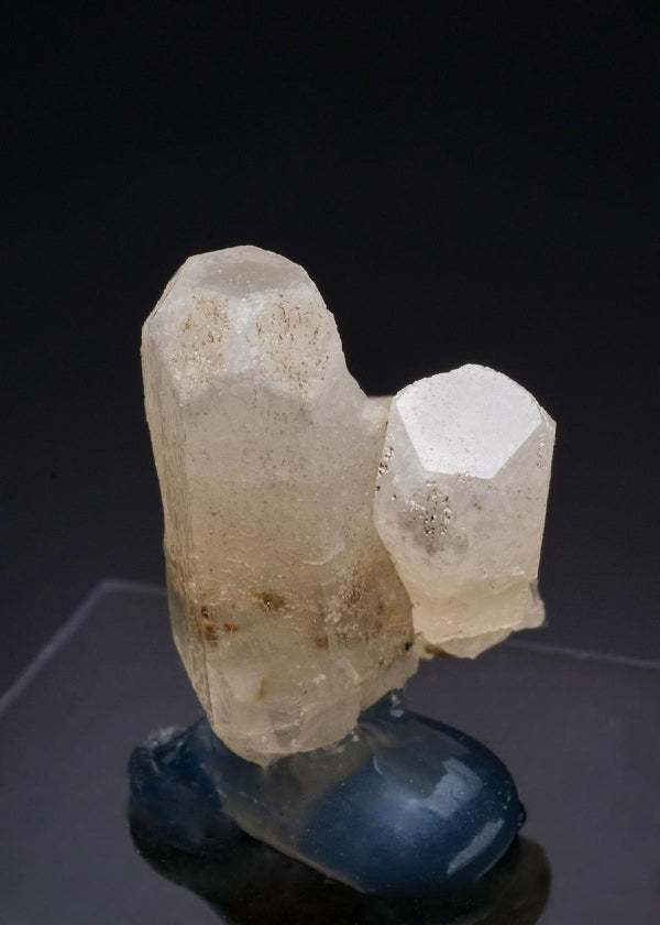 CC54608 specimen image