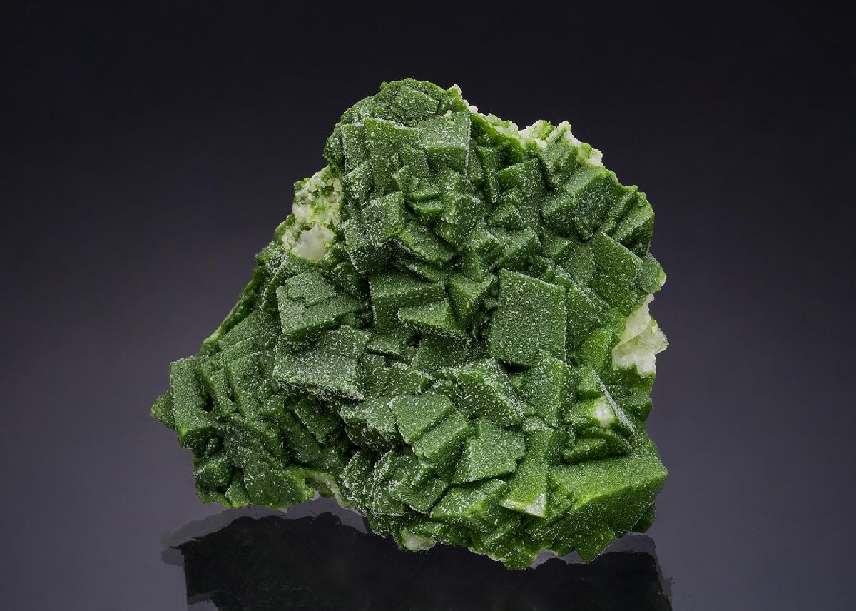 CC54670 specimen image