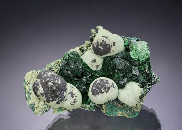 CC54678 specimen image