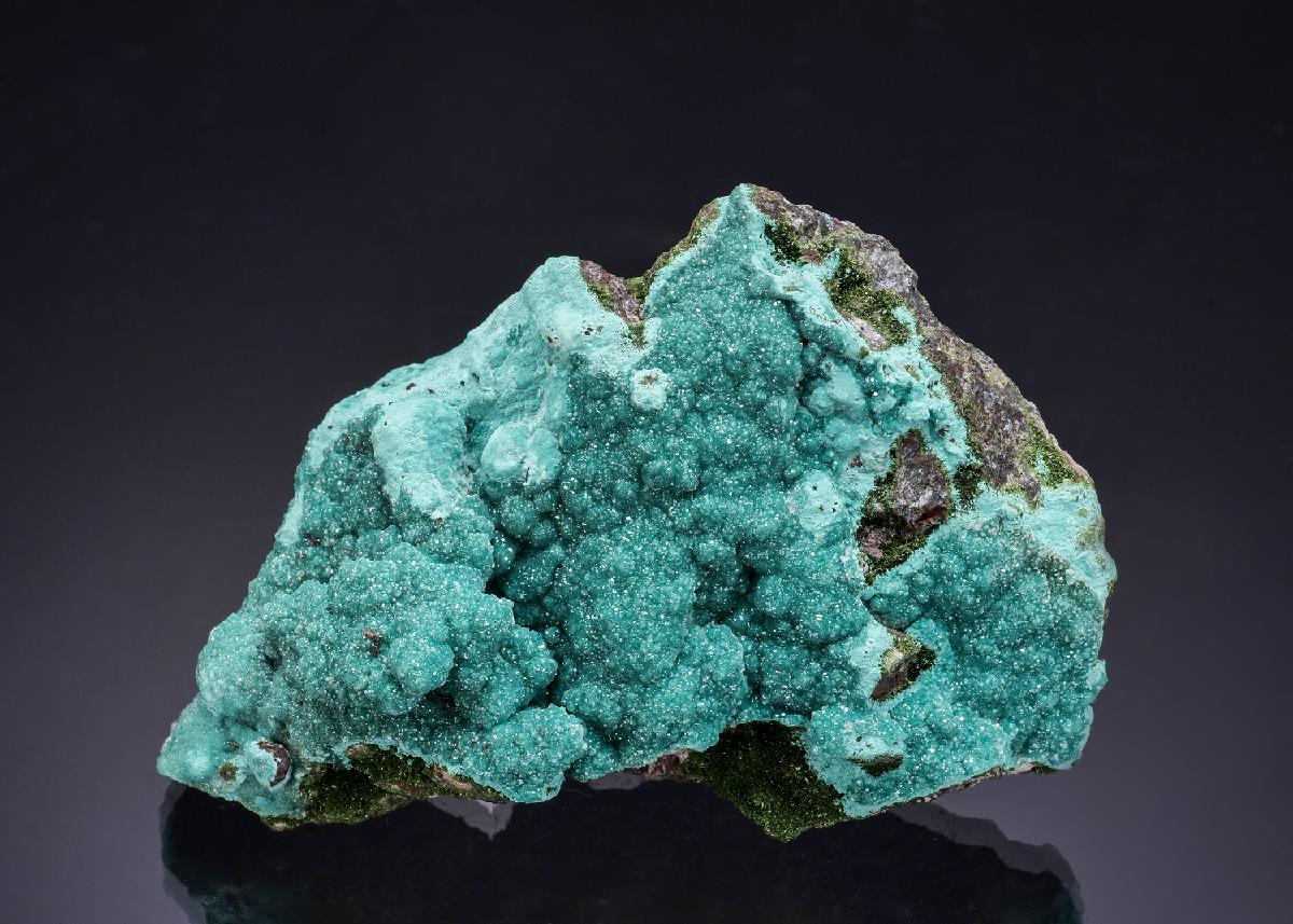 CC54686 specimen image