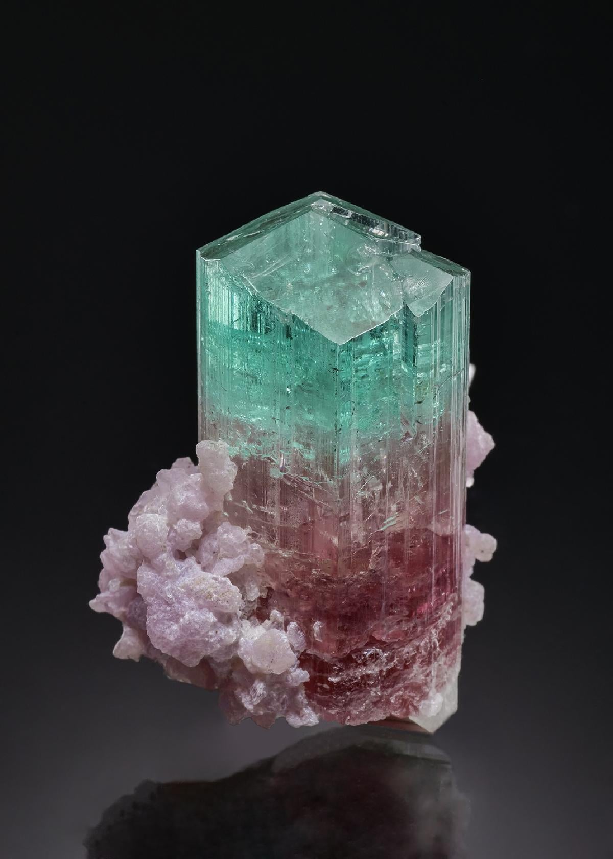 CC54700 specimen image