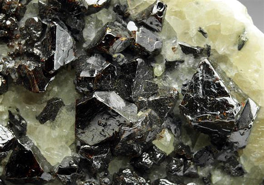 CC5483 specimen image