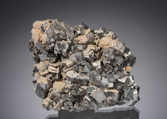 CC5489 specimen image