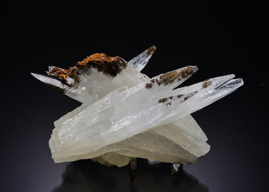 CC55192 specimen image