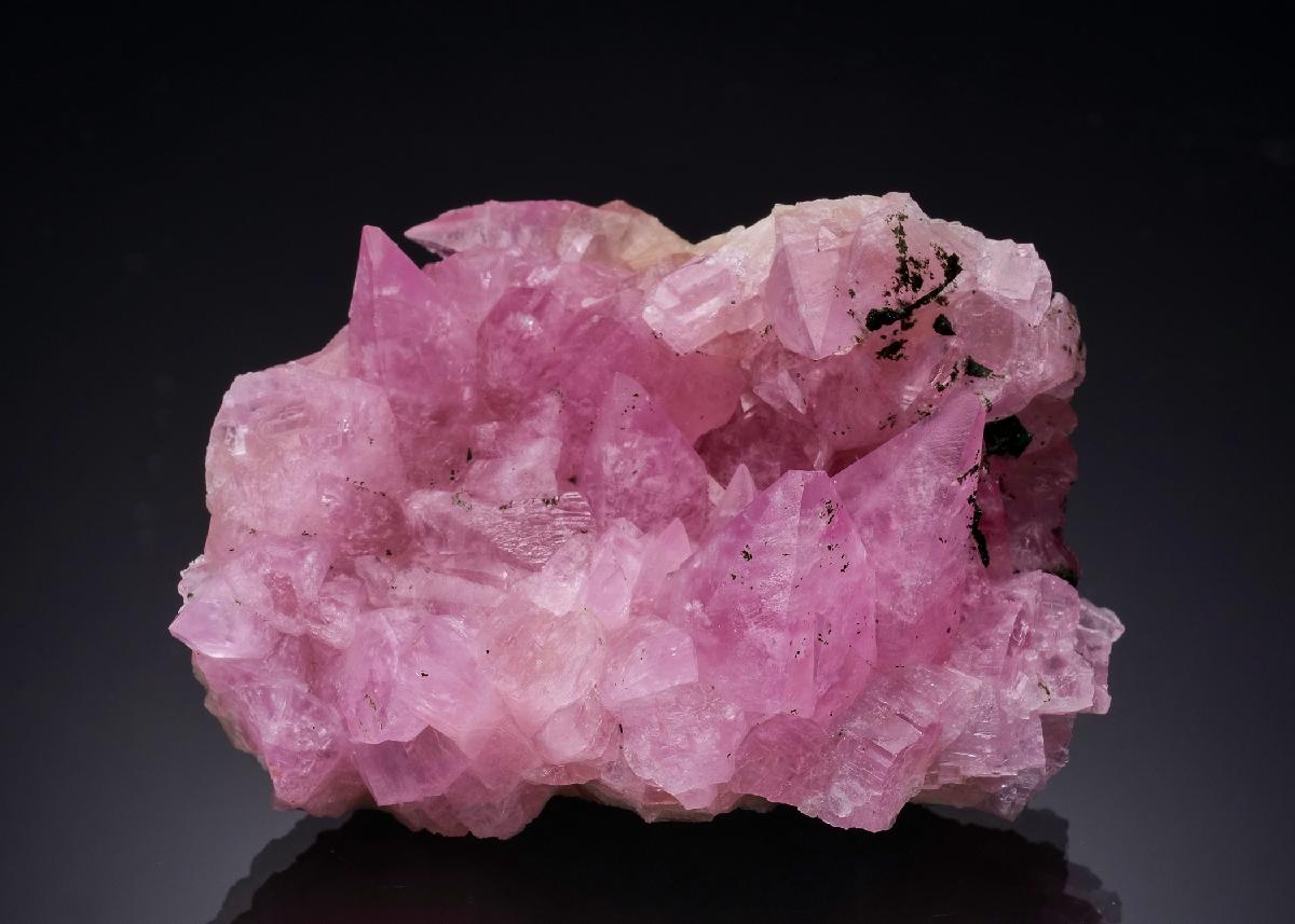 CC55630 specimen image