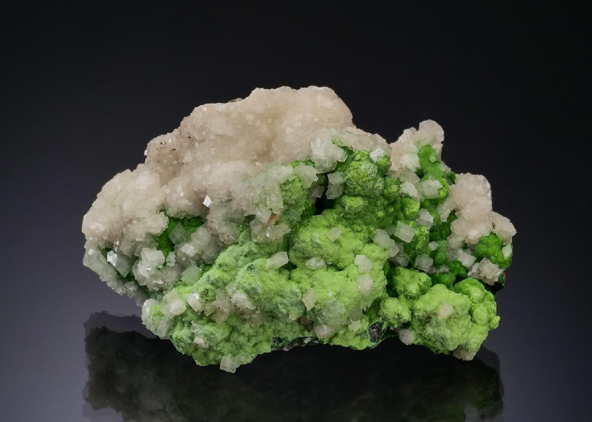 CC55886 specimen image