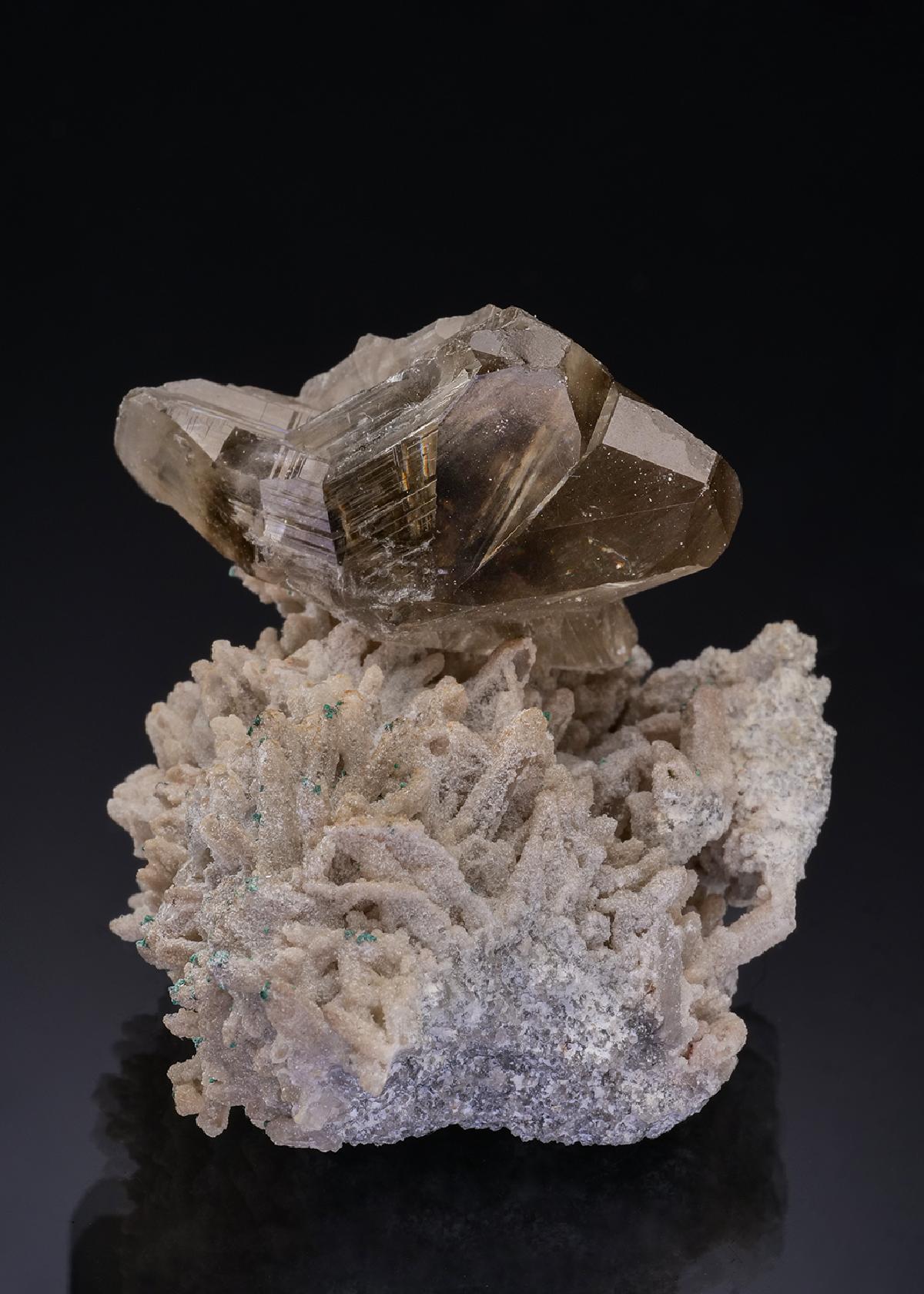 CC55892 specimen image