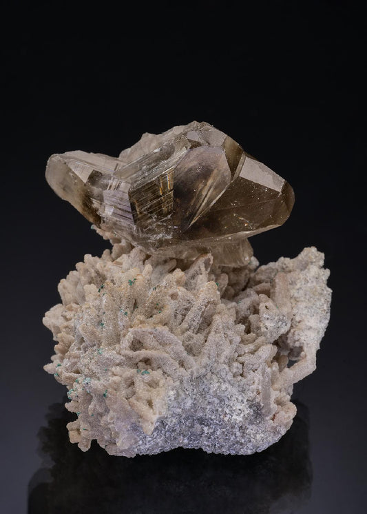 CC55892 specimen image