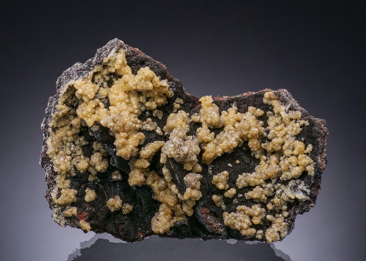 CC55906 specimen image