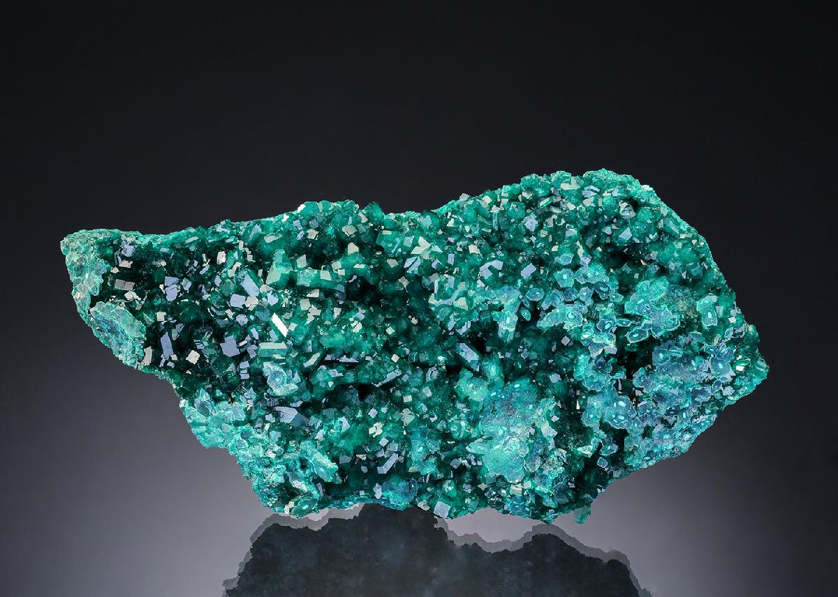 CC55908 specimen image