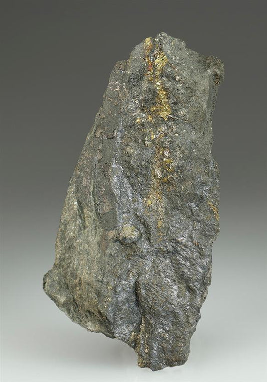 CC5591 specimen image