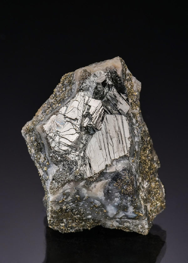 CC55980 specimen image