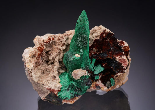 CC55984 specimen image